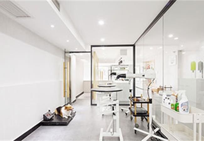 合肥寵物店設(shè)計(jì)裝修考慮什么？裝修公司重點(diǎn)總結(jié)